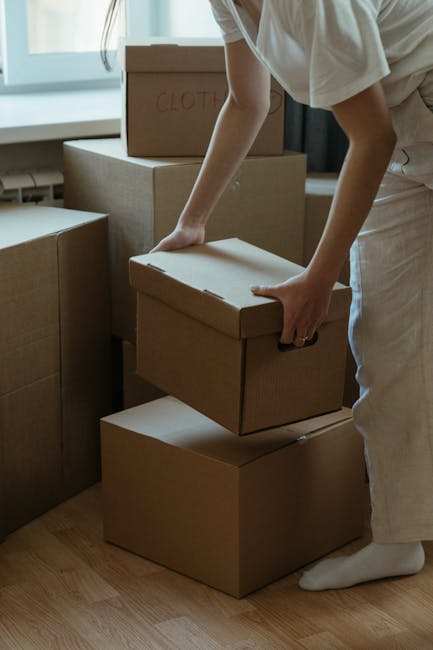 A man with curly dark hair and medium skin tone, wearing a blue T-shirt and dark trousers, is seated on a hardwood floor inside a room, leaning against a beige sofa surrounded by cardboard moving boxes sealed with red tape. The boxes vary in size and are stacked in a semi-organised manner nearby. The room has two large, arched windows with black frames, allowing natural light to illuminate the space and revealing an urban street scene with parked cars and buildings outside. To the right, there is a tall potted plant with broad green leaves, contributing to the room's interior decor. This scene depicts the process of home relocation, with furniture and packing materials indicating ongoing packing or unpacking, in a setting consistent with house removal services provided by [COMPANY_NAME].